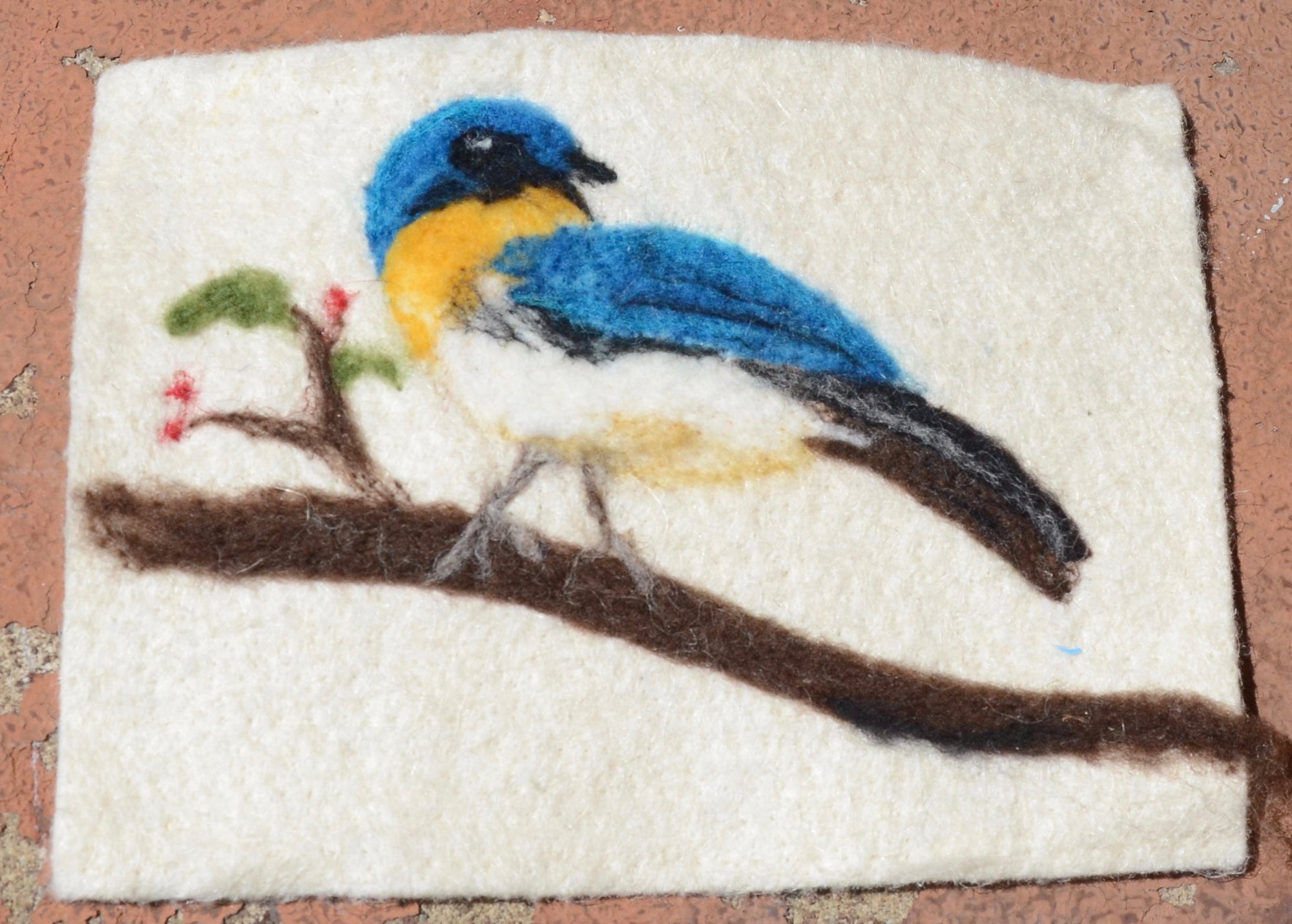 Beginner's Felting Kit #2 - 10 Colors