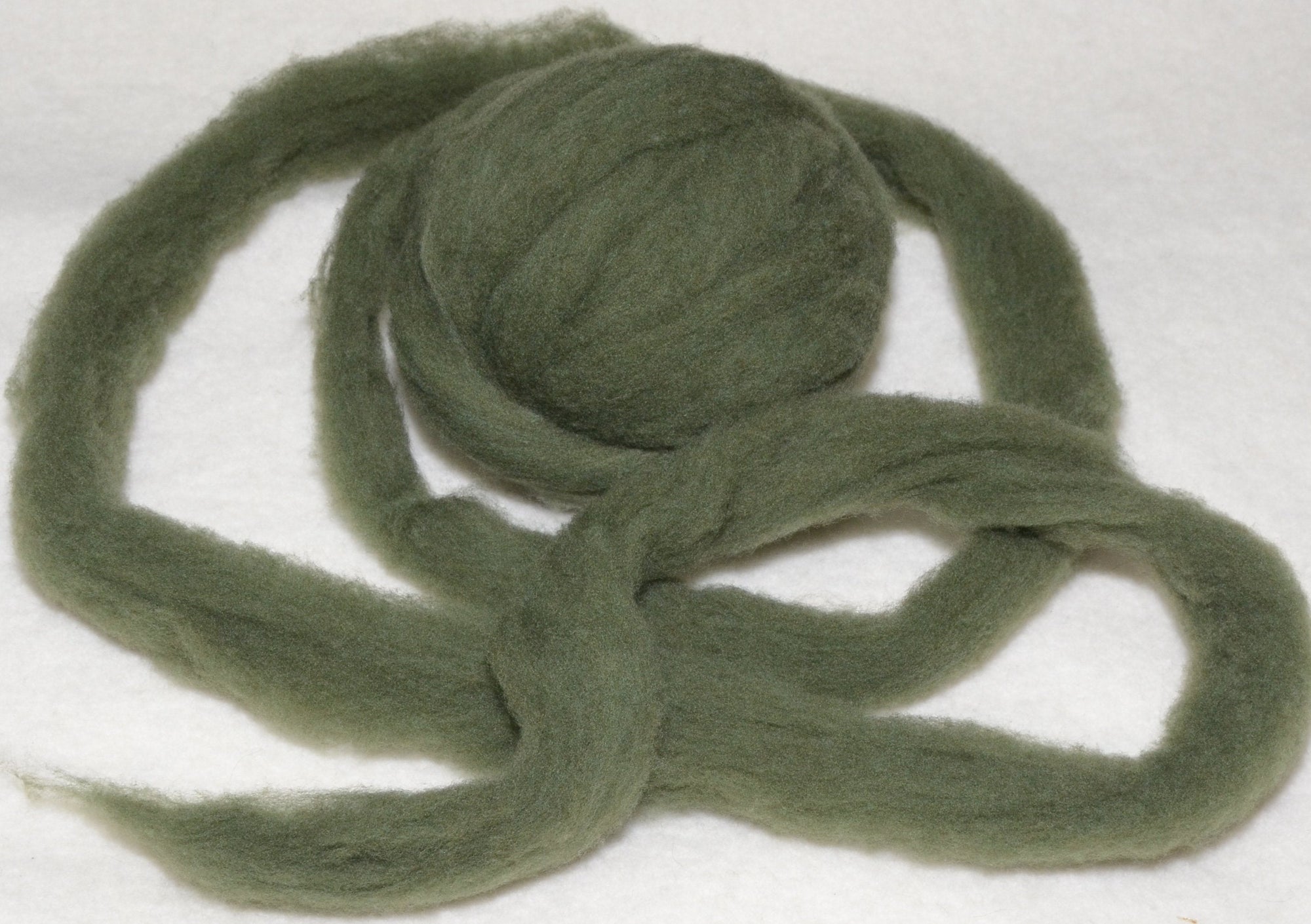 ENGLISH IVY- American Farm Wool - Medium Grade Wool Roving for Felting, Spinning, Weaving, Fiber Art