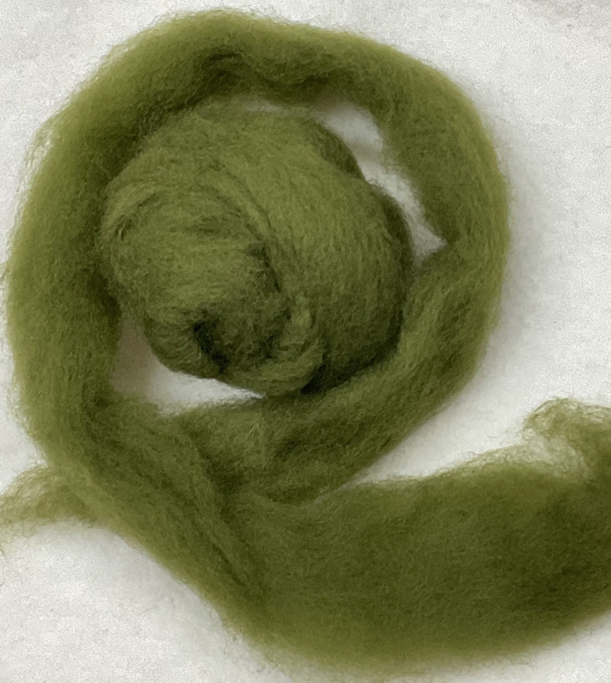 ENGLISH IVY- American Farm Wool - Medium Grade Wool Roving for Felting, Spinning, Weaving, Fiber Art